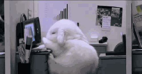 微信图片_20220224172851.gif 微信图片_20220224172851.gif