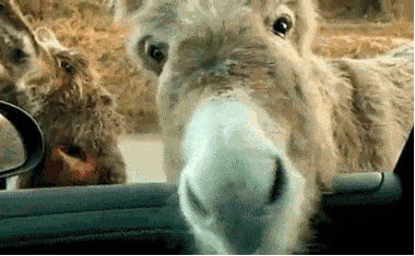 微信图片_20220324180041.gif