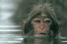 微信图片_20220427175853.gif