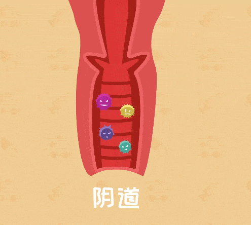 91466c36662ce7fc8c5a4c1f0aab280a.gif