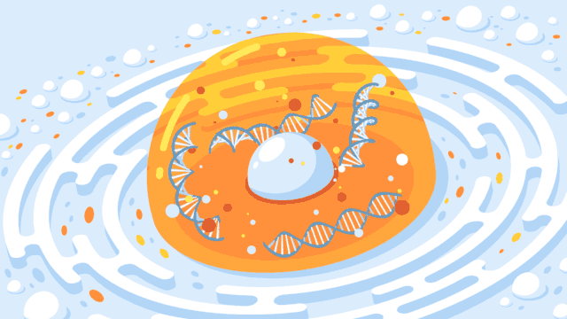 640 (50).gif