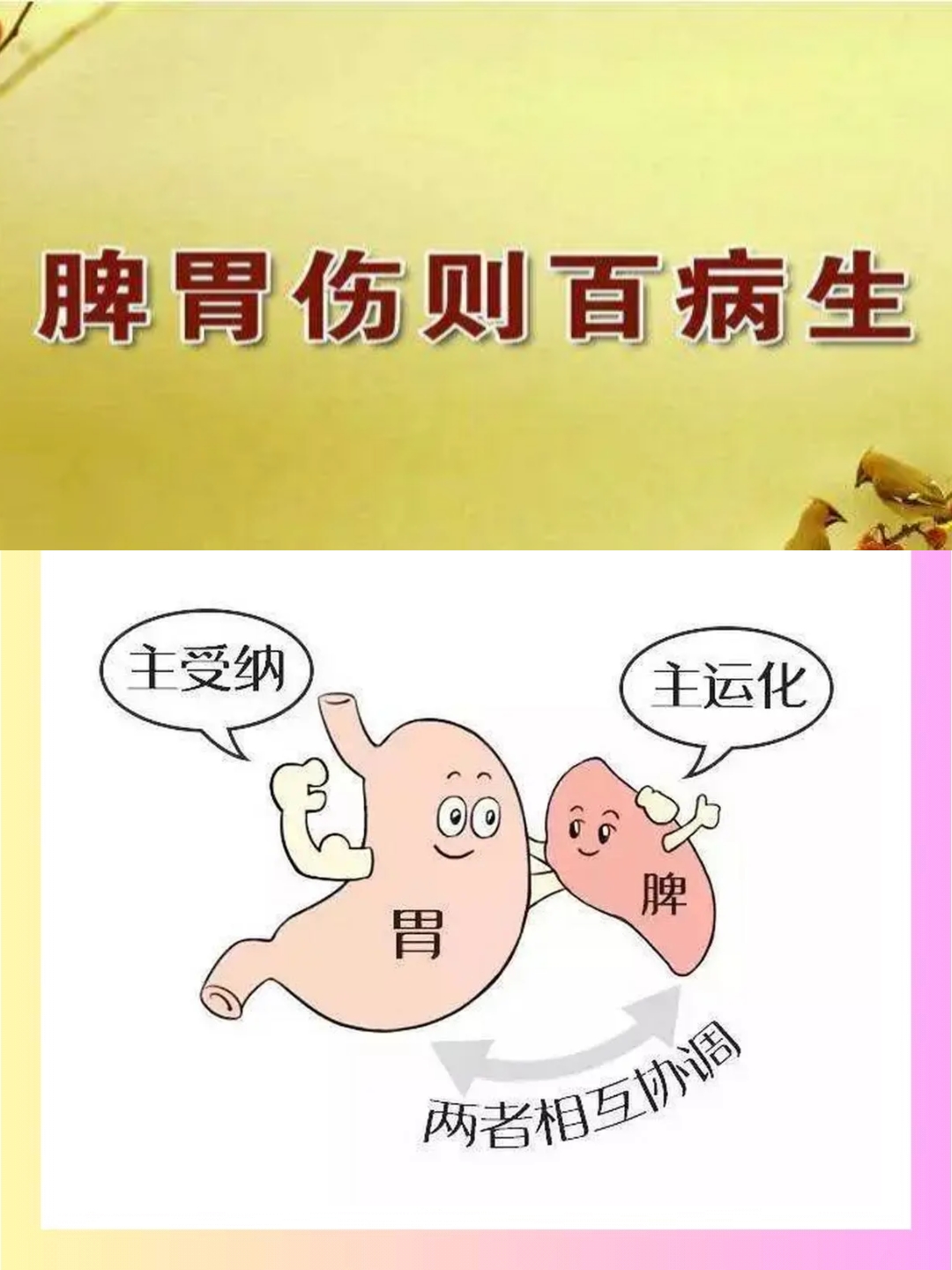 脾胃论:中医视角下的脾胃虚弱失调与调治之道