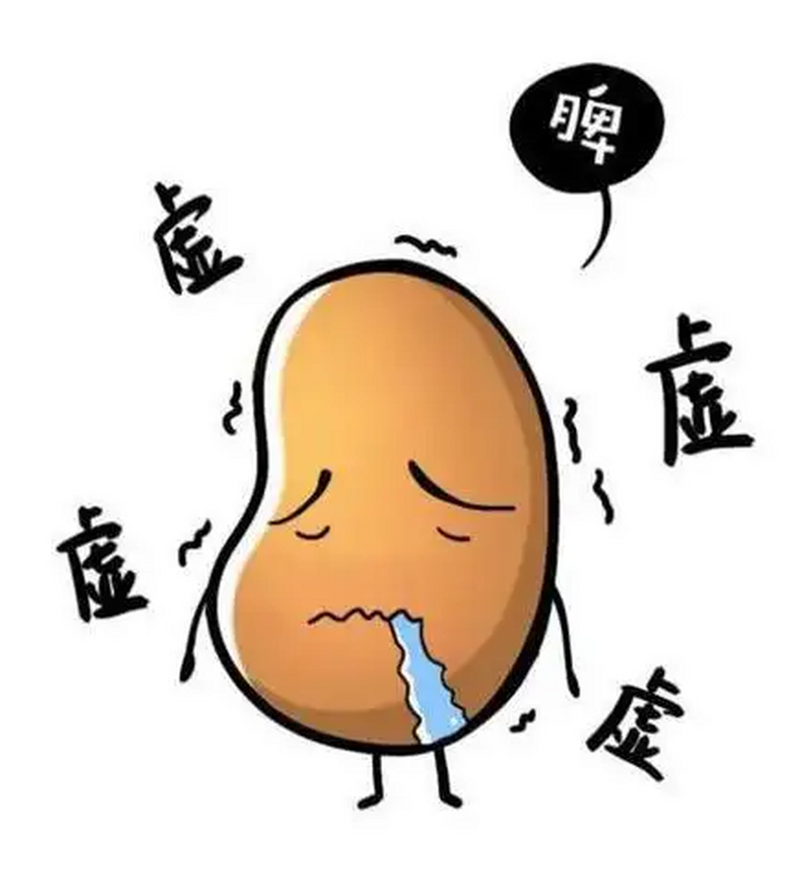 脾胃论:中医视角下的脾胃虚弱失调与调治之道