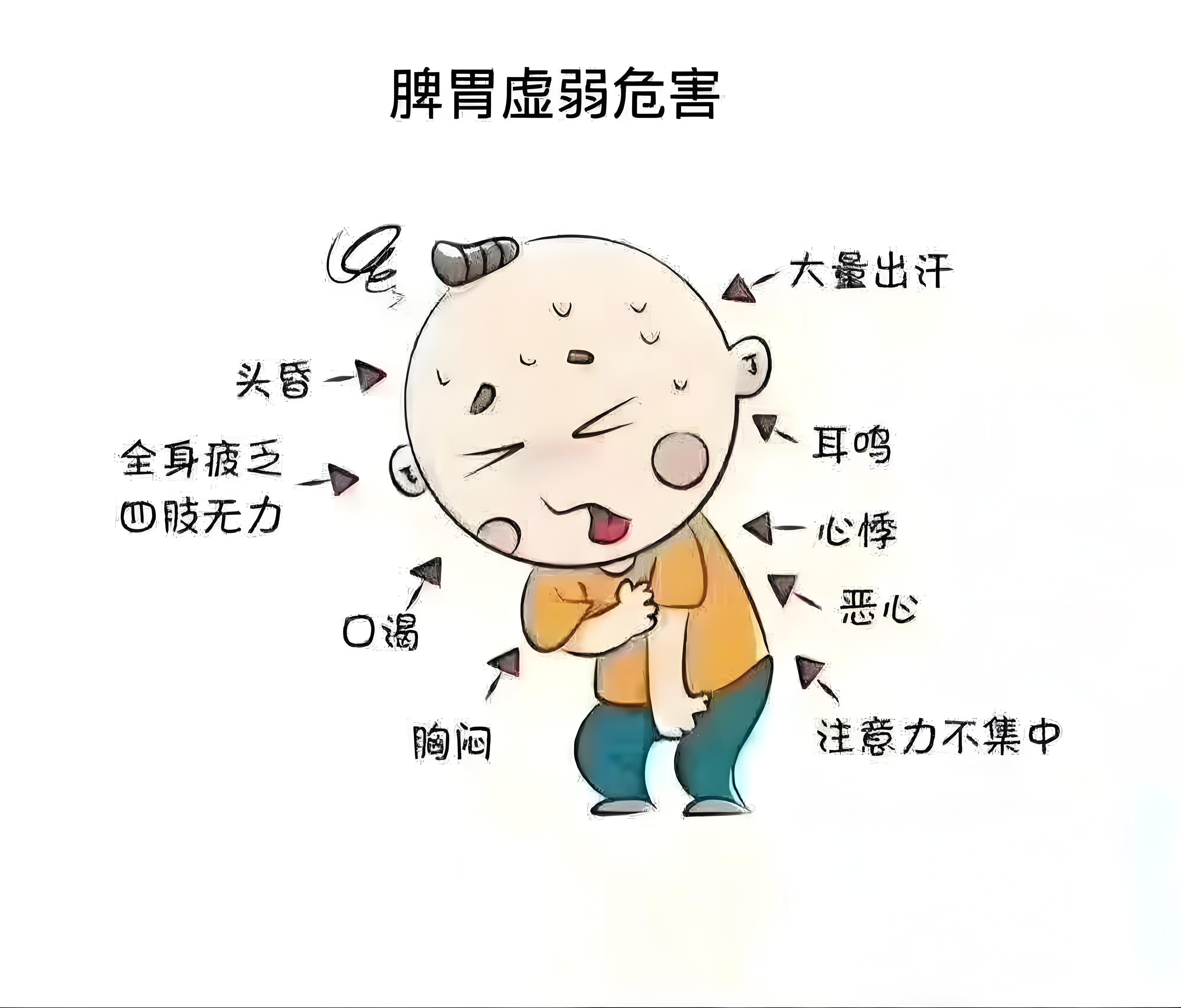脾胃为后天之本:中医理论与养生治疗智慧