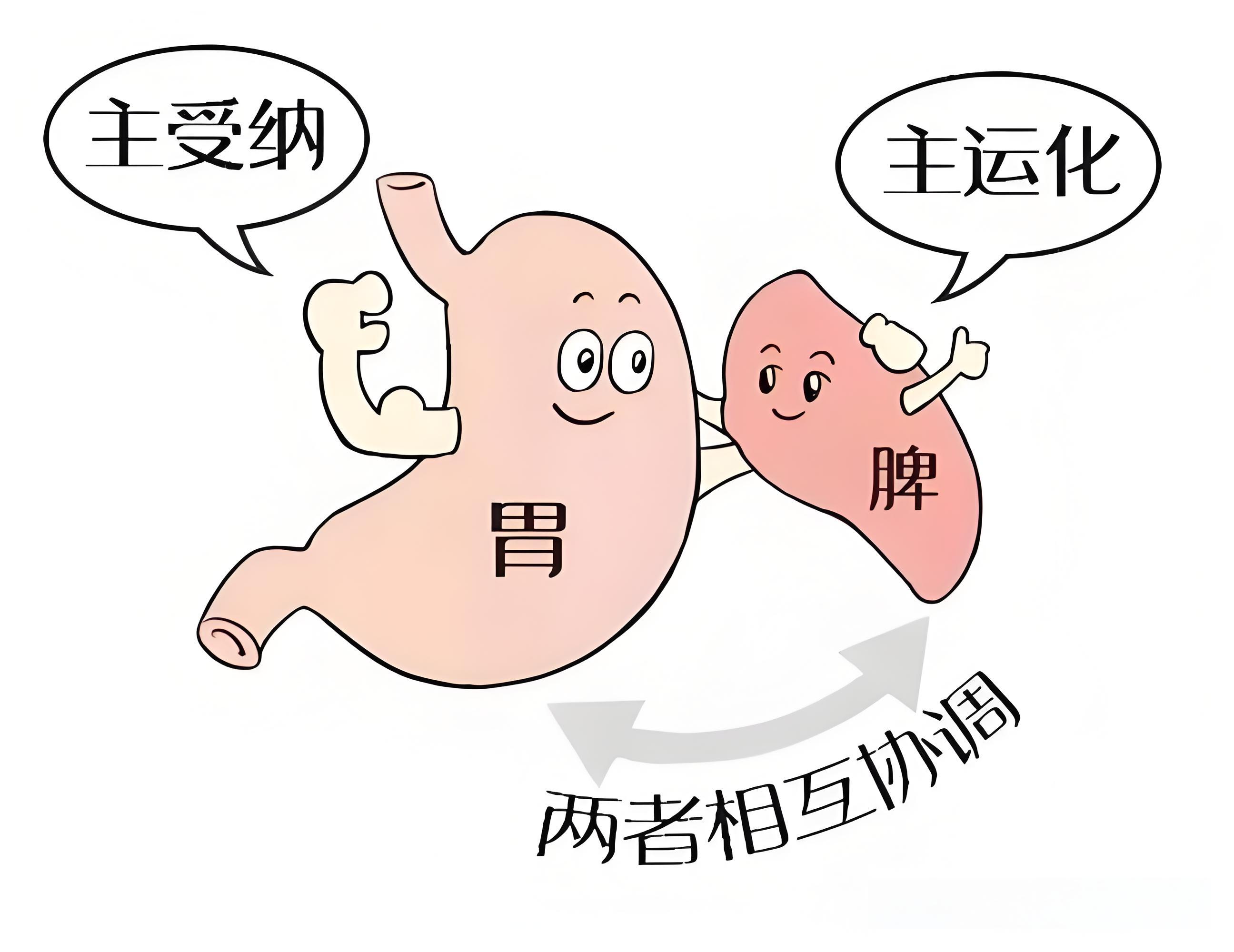 脾虚:百病由生之源,中医调养之道