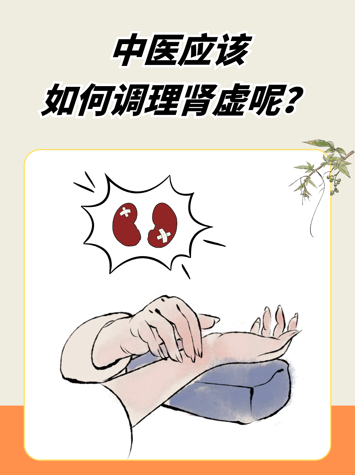 探本寻源:中医视角下的肾虚与调治之道