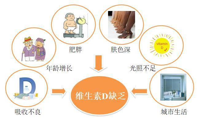沉默的流行病：维生素D缺乏的根源、危害与科学应对